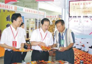 原安陽市市長董永安、副市長陳明今到公司調(diào)研